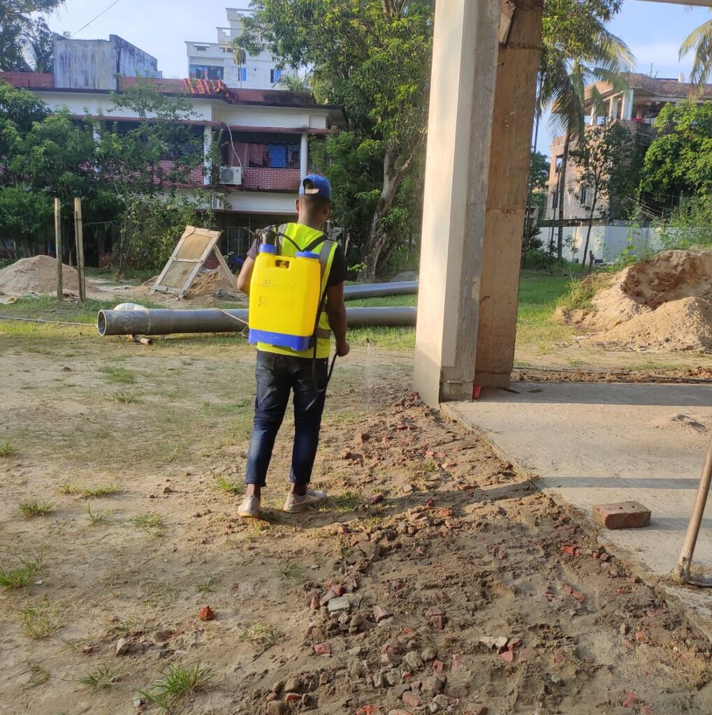 Effective Termite Control Solutions by Tiger Pest Control Co – Protect Your Home from Termite Infestation in Dhaka